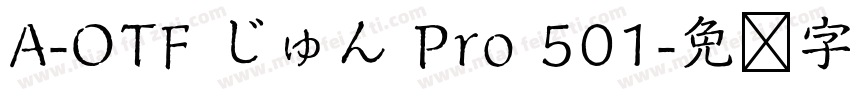 A-OTF じゅん Pro 501字体转换